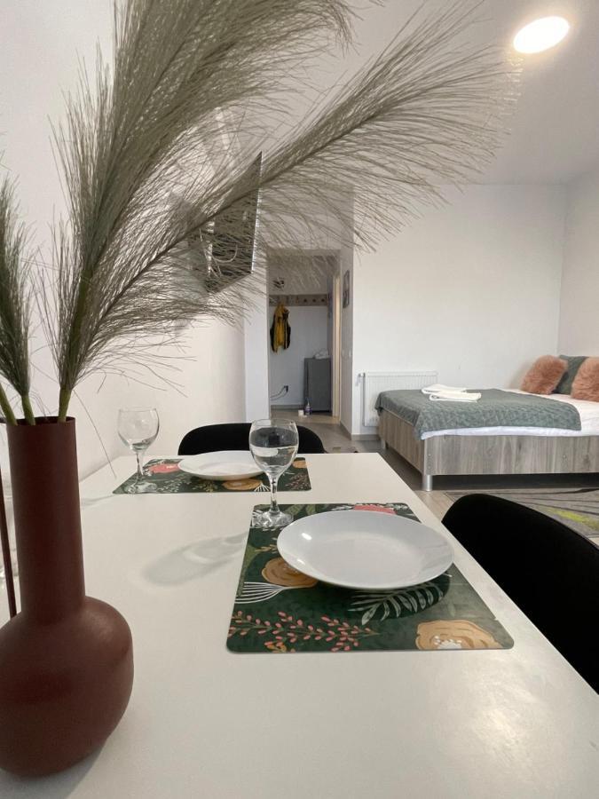 Studio Apartment Palas Mall Iasi Esterno foto